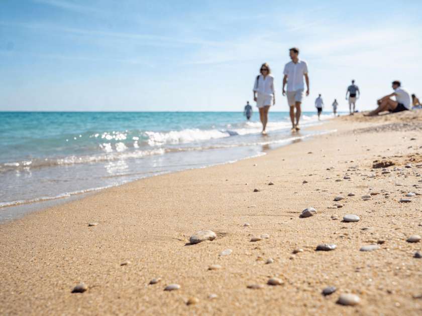 Сосновка и Зеленоградск: маршрут на день у Балтийского моря